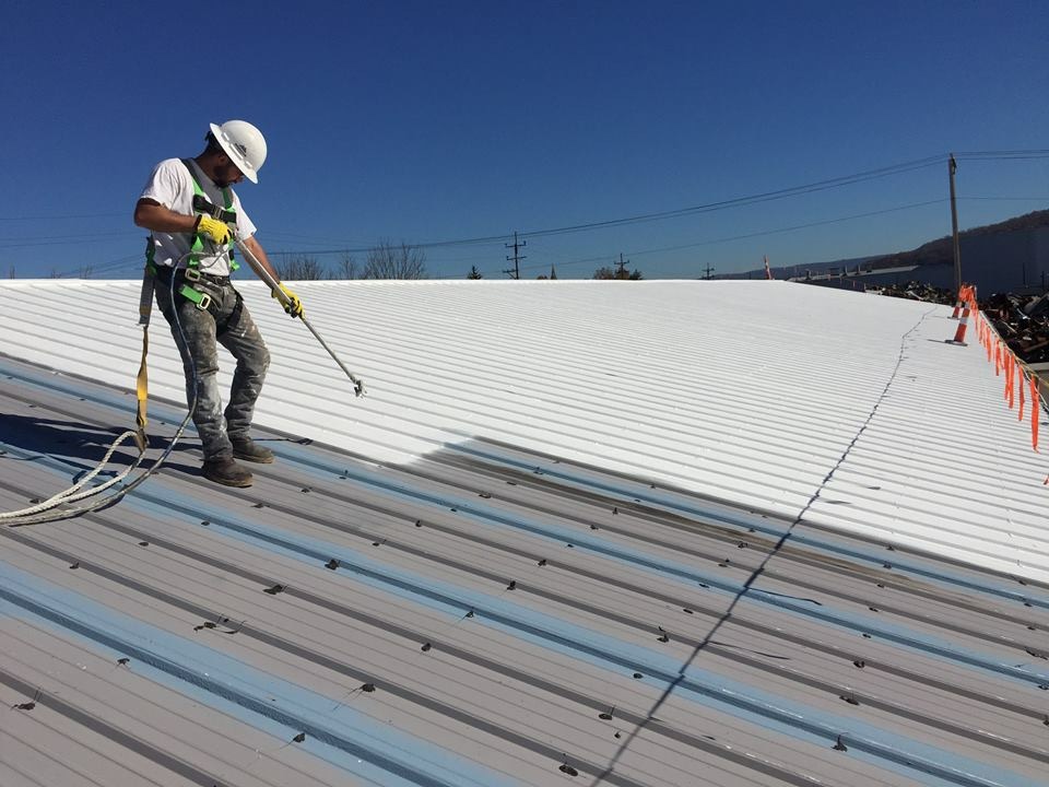 peinture cool roof prix adapté et tâches effectuées par des professionnels agréés